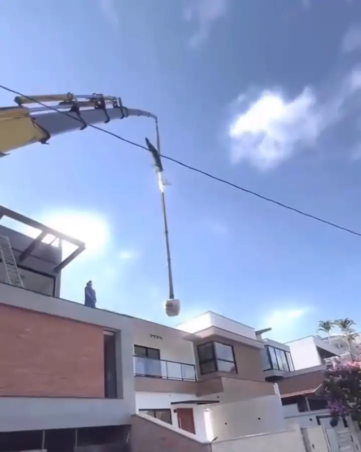 Palmeira suspensa por um guindaste contra o céu azul, a caminho de um jardim.